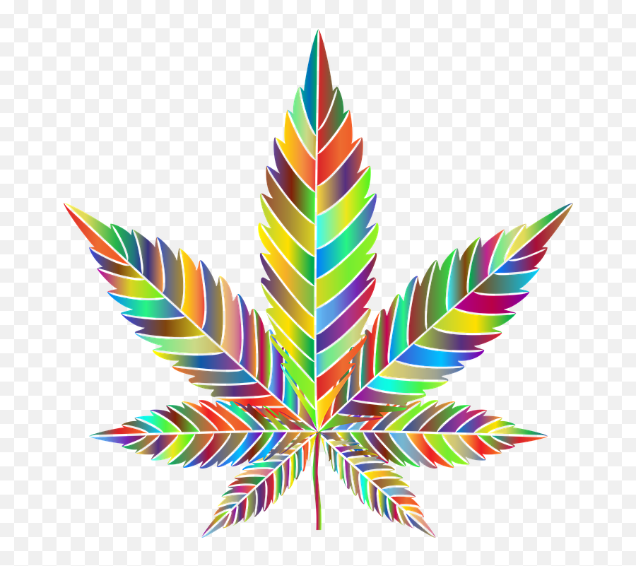 Free Photo Cannabis Drugs Leaves Weed - Marijuana Png Emoji,Pot Leaf Transparent