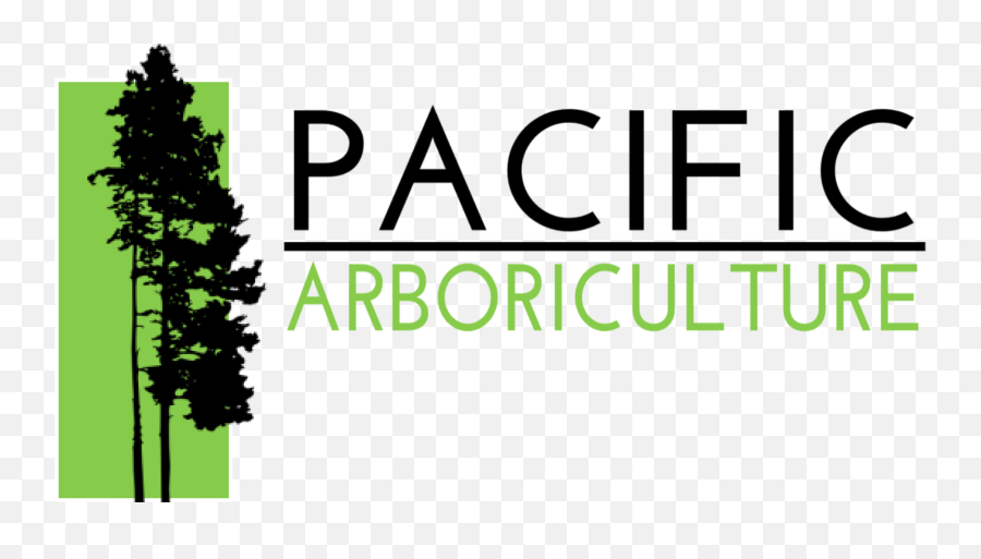 Pacific Arboriculture U2013 Arborist U0026 Tree Services Seattle Emoji,Seattle Storm Logo