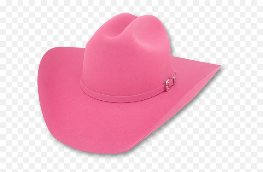 Download 10x Fur Felt Cattleman - Cowboy Hat Png Image With Transparent Pink Cowboy Hat Png Emoji,Cowboy Hat Transparent