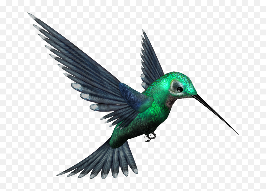 Hummingbird Png - Picsart Bird Png Hd Emoji,Png Image
