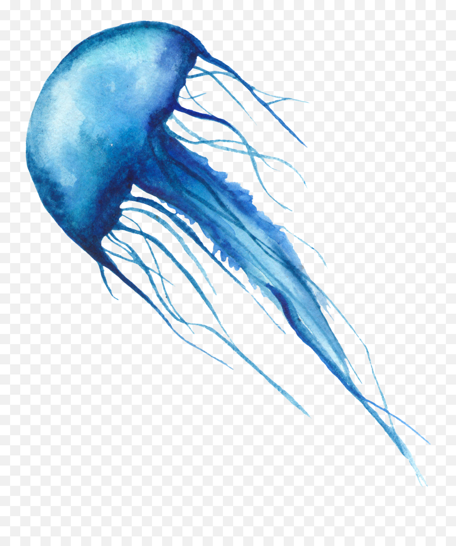 Jellyfish Sticker By Elizabeth - Jellyfish Emoji,Jellyfish Transparent Background