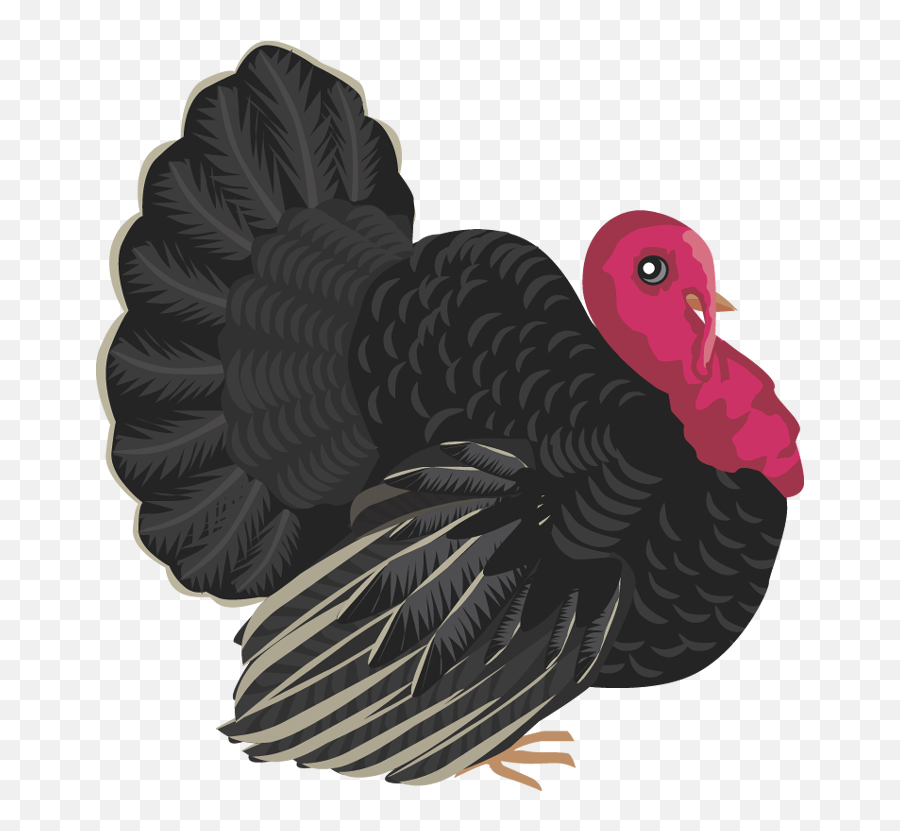 Free Turkey Clipart Vector Black And White Stock - Turkey Wild Turkey Emoji,Cooked Turkey Clipart