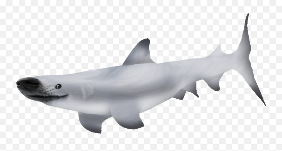 Shark Png - Great White Shark Emoji,Shark Png