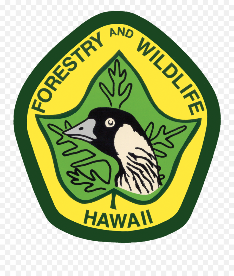 Division Of Forestry And Wildlife Dofaw Contact Information - Dofaw Emoji,Contact Logo