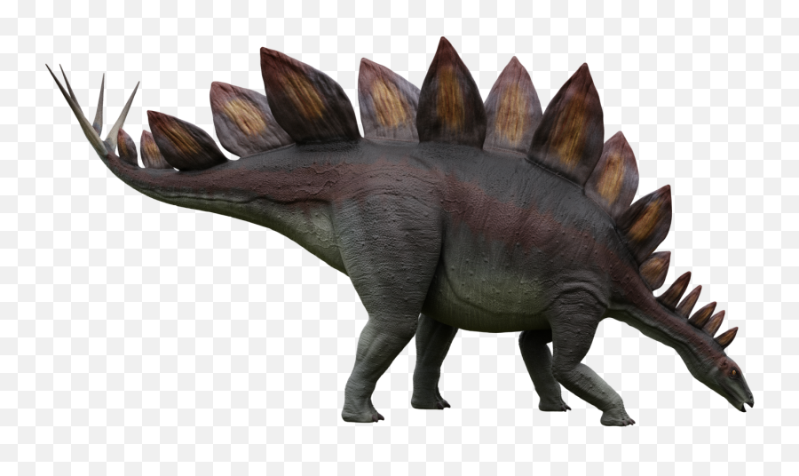 Download Stegosaurus Png Image With No Emoji,Stegosaurus Png