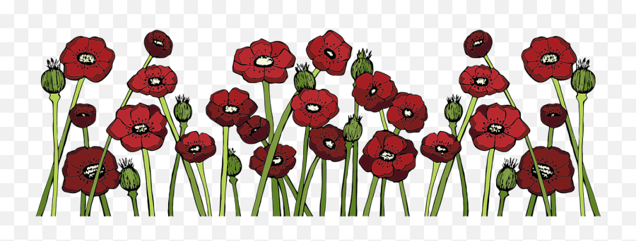Poppy Fields Flower Red - Free Vector Graphic On Pixabay Emoji,Poppy Flower Png