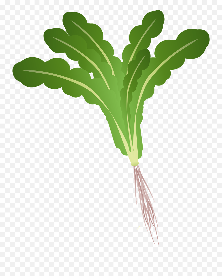 Japanese Green Vegetable Clipart - Green Vegetable Clipart Png Emoji,Vegetable Clipart