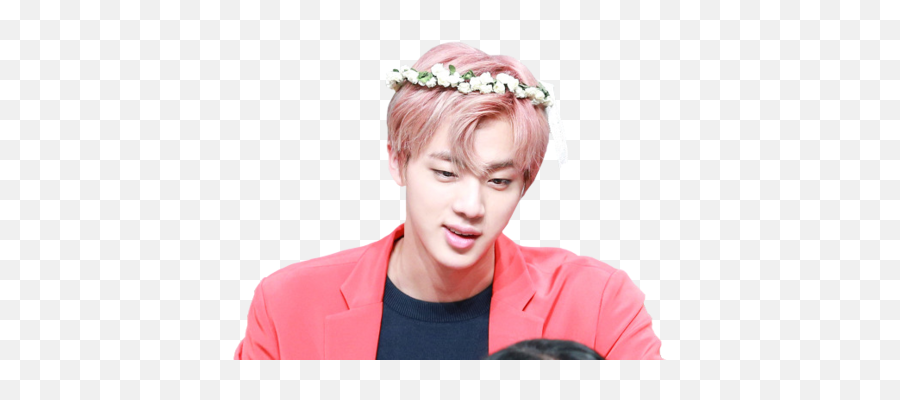 Bts Jin Transparent Background - Bts Jin Pink Flower Crown Emoji,Bts Transparent