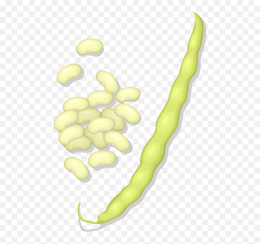Wax Bean And Seeds Clipart Free Download Transparent Png - Wild Bean Emoji,Seeds Clipart