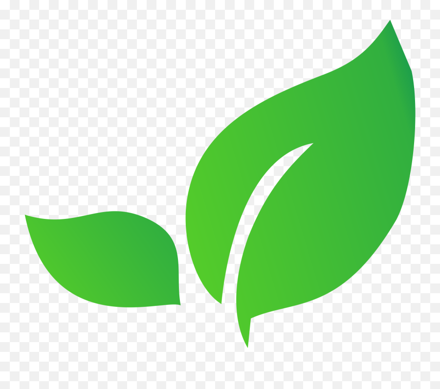 Latest News - Mint Life Science Pvt Ltd Logo Transparent Mint Life Sciences Emoji,Mint Logo