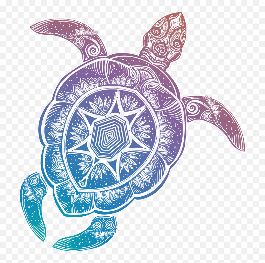 Fliprss Automate Multiple Rss Feeds In A Single Email Clip - Turtle Tattoo Blue And Green Emoji,Turtle Transparent