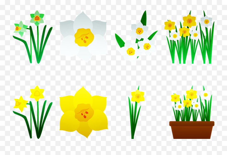 Daffodils Yellow Flower Bloom Public Domain Image - Freeimg Emoji,Green And Yellow Flower Logo