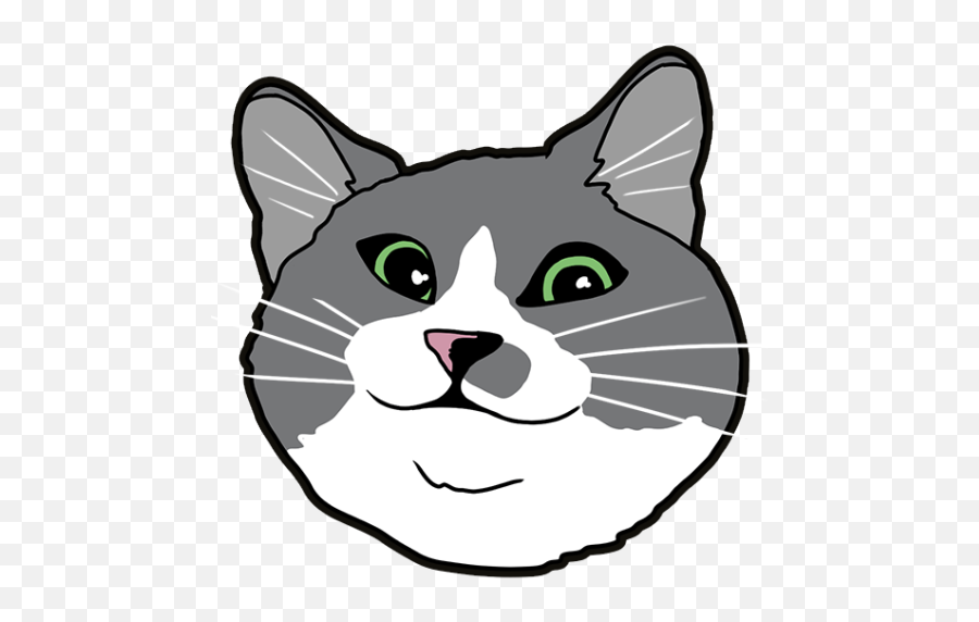 Your - Warframe Cat Glyph Emoji,Rainmeter Transparent Taskbar