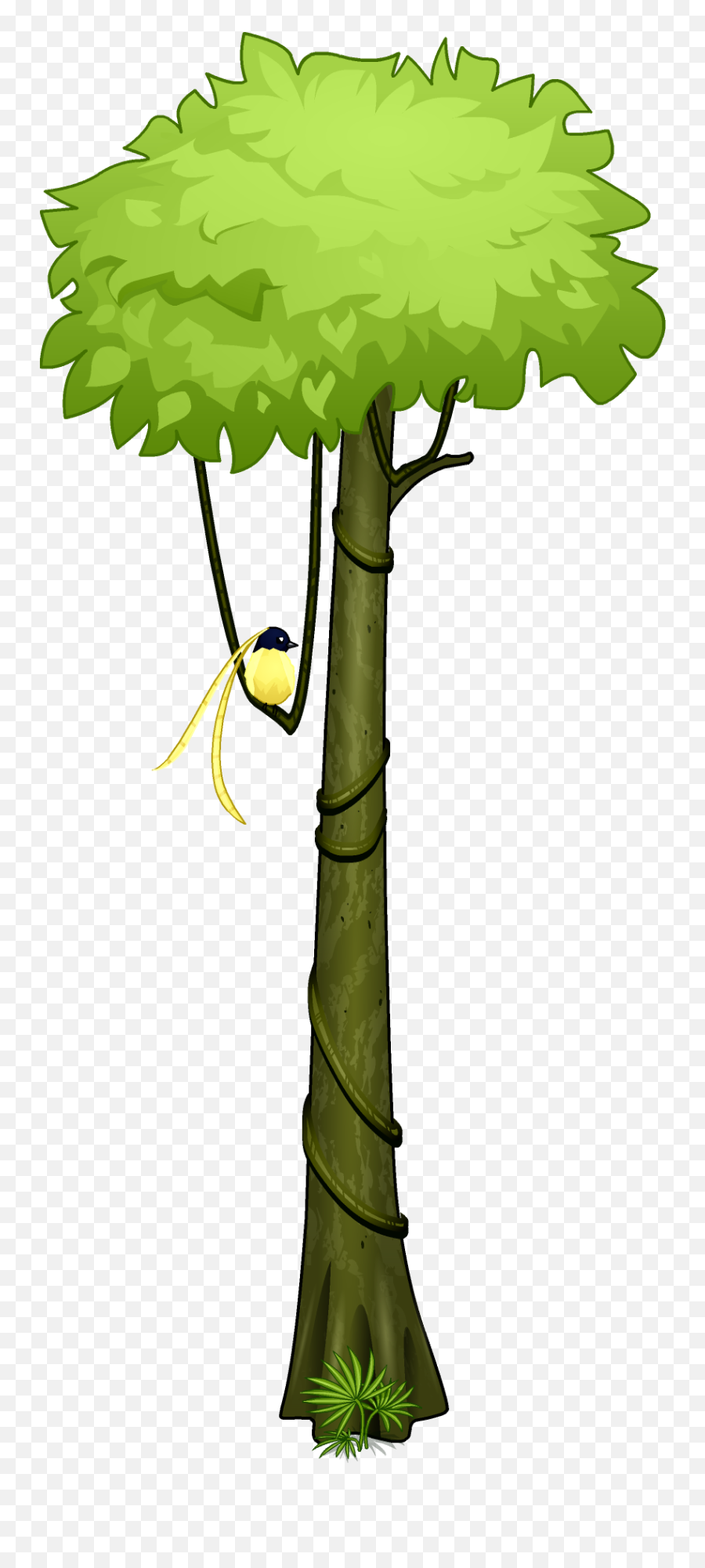 Download Amazon Rainforest Clipart At - Draw A Amazon Rainforest Tree Emoji,Rainforest Clipart