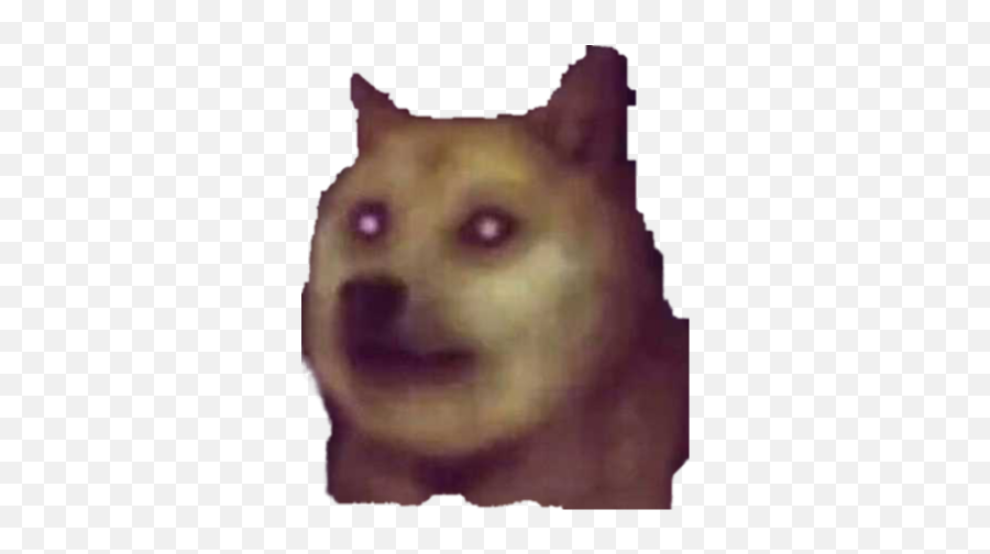 Cursed Dogs Png For Anyone That Wants - Cursed Pngs Emoji,Dogs Png