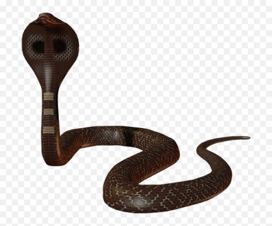 Cobra Png - Png Snake Emoji,Cobra Png