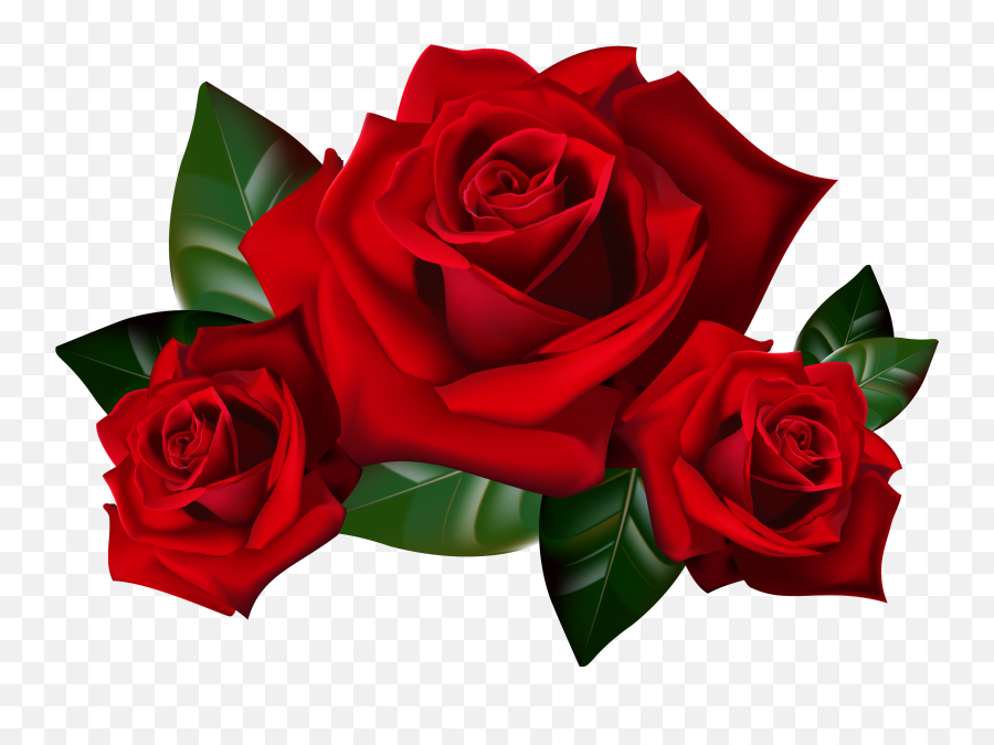 Gothic Rose Transparent Hq Png Image - Red Roses Png Emoji,Roses Transparent Background