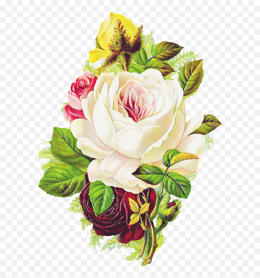 Free Graphic Friday - Rose Bouquet Flower Art Painting Emoji,Vintage Roses Png