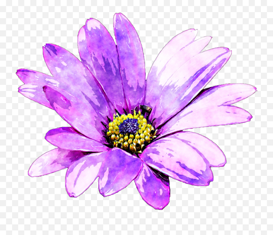 Download Watercolour Flower Png Image Free Stock Emoji,Daisy Flower Png