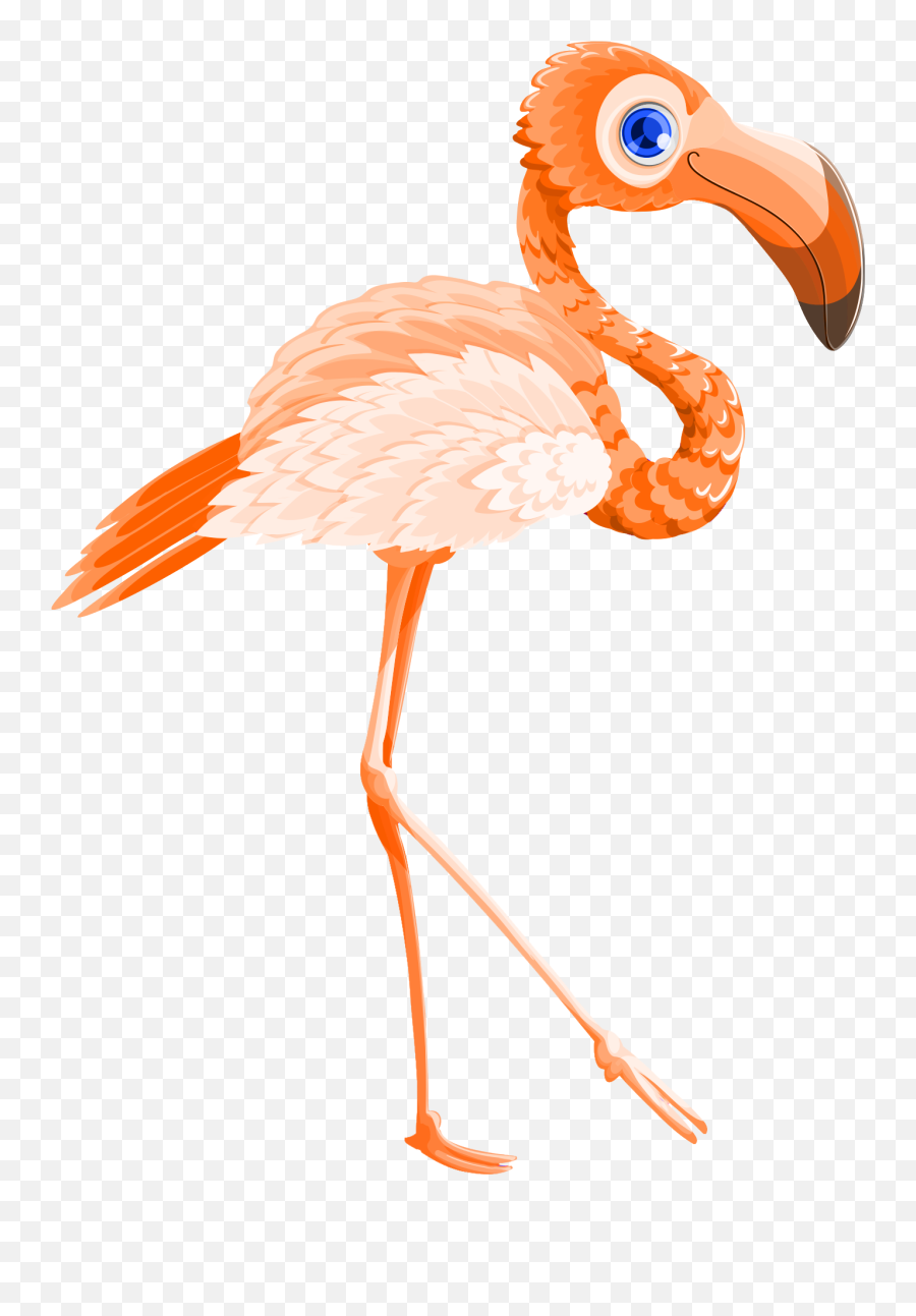 Download Vector Walking Flamingo Bird Free Download Png Hd Emoji,Pink Flamingos Clipart
