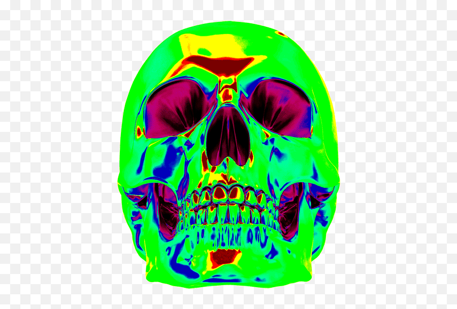 Top Skull Stickers For Android U0026 Ios Gfycat - Transparent Png Neon Skull Png Emoji,Scull And Crossbones Clipart