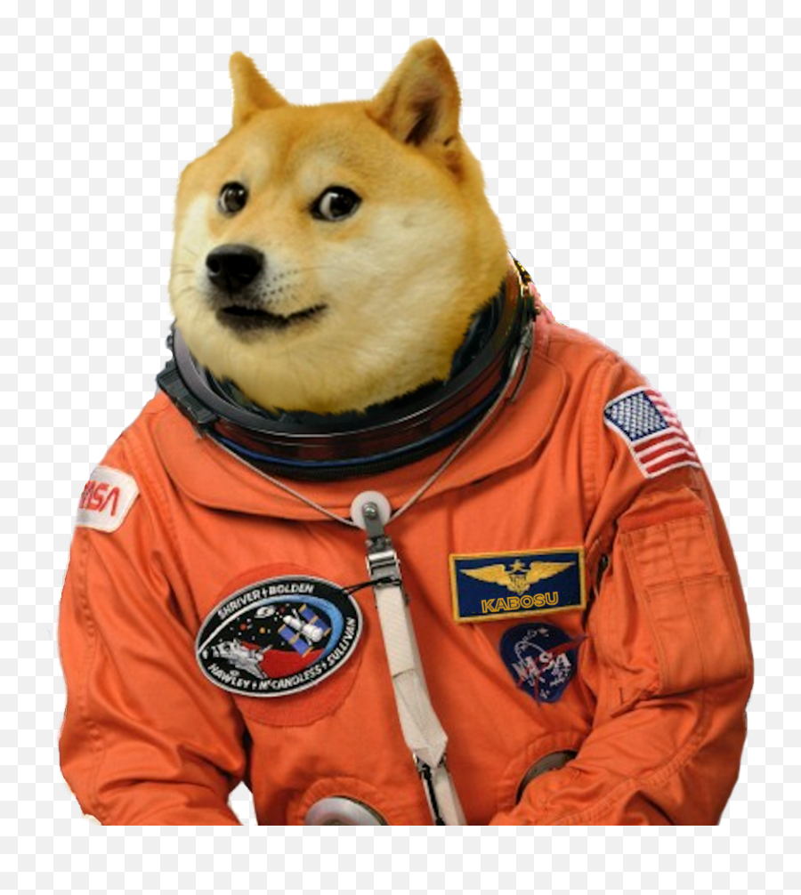 Wow Much Doge Png - Memes Para Stickers De Whatsapp Png Emoji,Doge Png