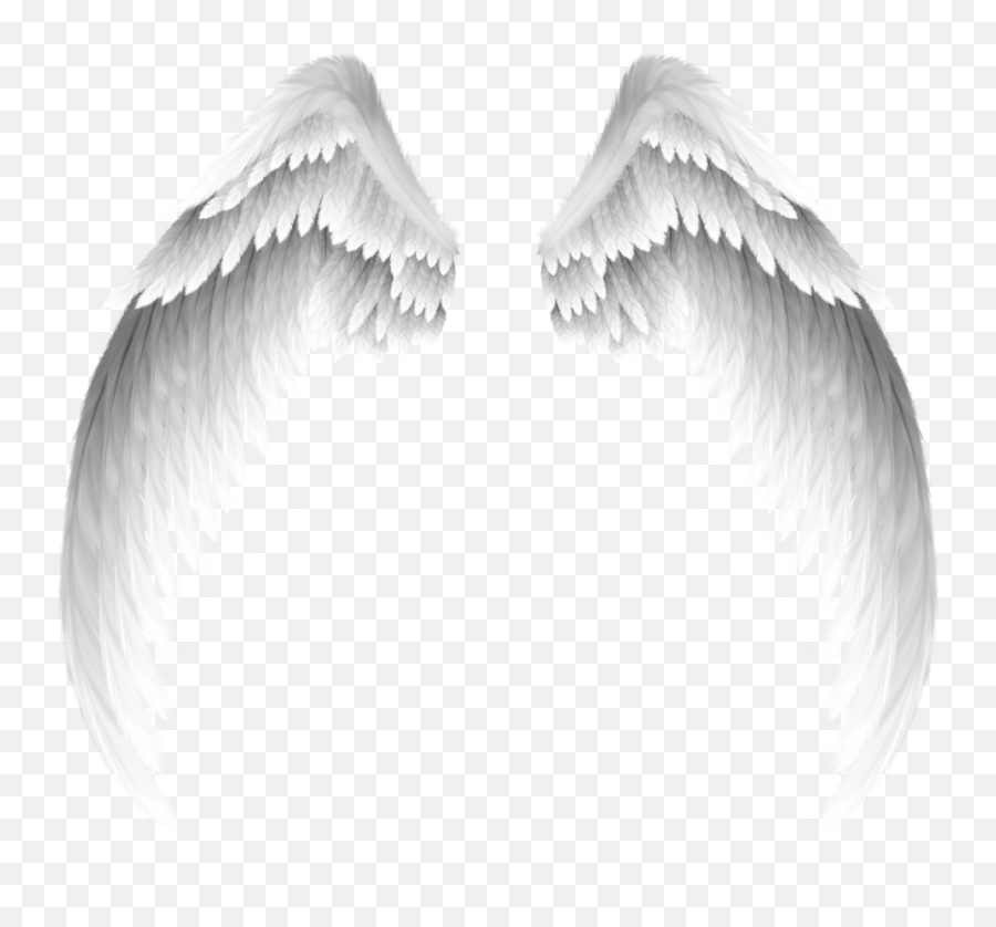 Download White Pretty Angel Wings Download Free Image - Arch Angel Michael Drawings Emoji,Wing Clipart