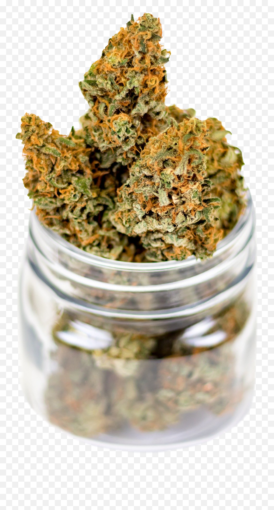 The Best Way To Store Marijuana Arch Advanced Pain Management - Fluffy Weed Emoji,Jar Png