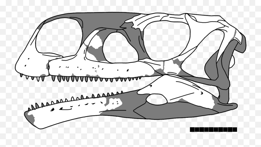 Aardonyx Skull - Aardonyx Skull Emoji,Skull Png