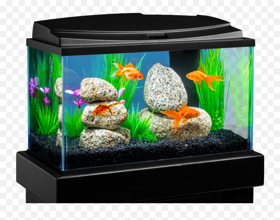 Tropical Fish Tank Transparent Png - Aquarium Fish Tank Png Emoji,Transparent Fish