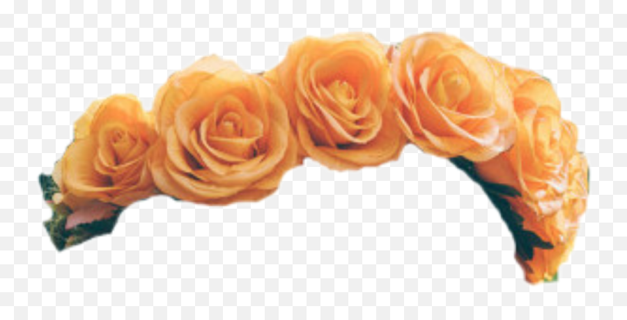 Amber Rose Png - Transparent Background Orange Flower Crown Png Emoji,Flower Crown Png