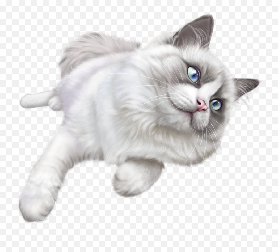 White Cat Png Clip Art - White Cat Transparent Background White Cat Png Emoji,Cat Transparent Background
