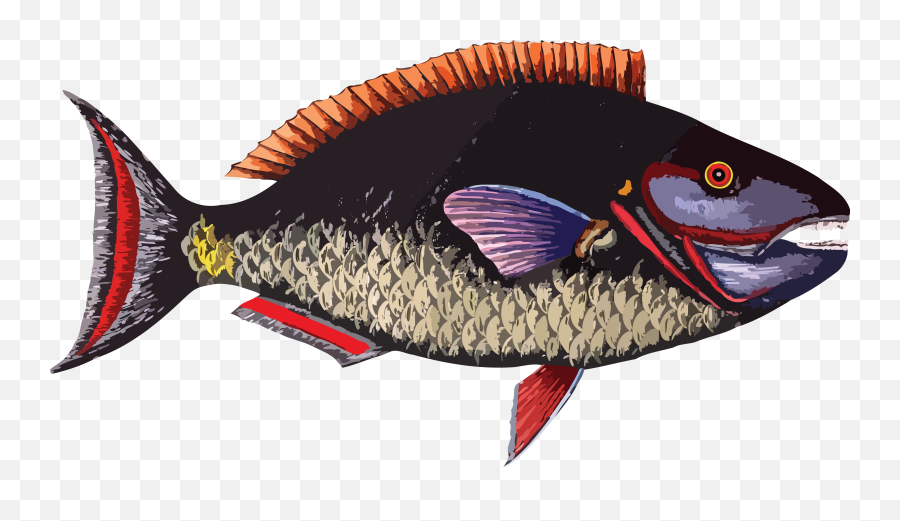 Coral Clipart Fish Group - Global Gallery U0027the Parrot Fish Fish Emoji,Coral Clipart