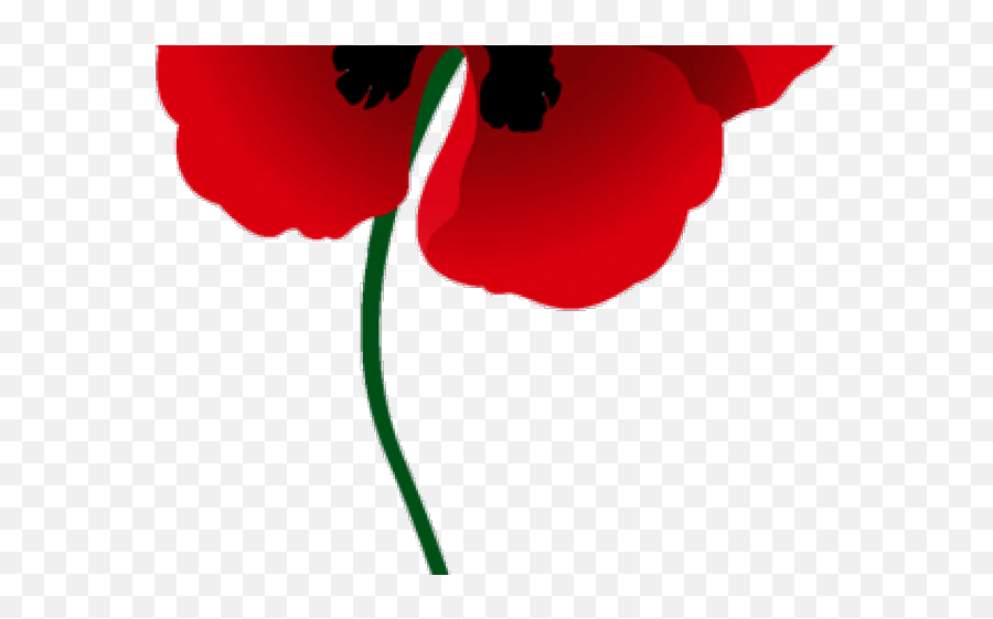 Poppy Clipart Red Poppy - Memorial Day Png Download Full Language Emoji,Memorial Day Clipart