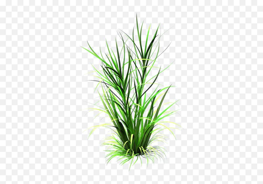 Tall Grass Clipart - Grass Leaf Texture Png Emoji,Tall Grass Png