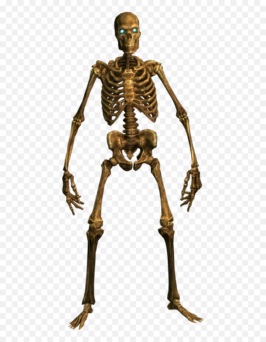Download Skeleton Free Png Transparent - Rib Emoji,Skeleton Png