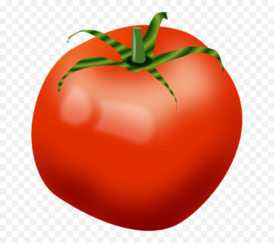 Tomato Clip Art At Clker - Tomato Clip Art Png Emoji,Tomato Clipart