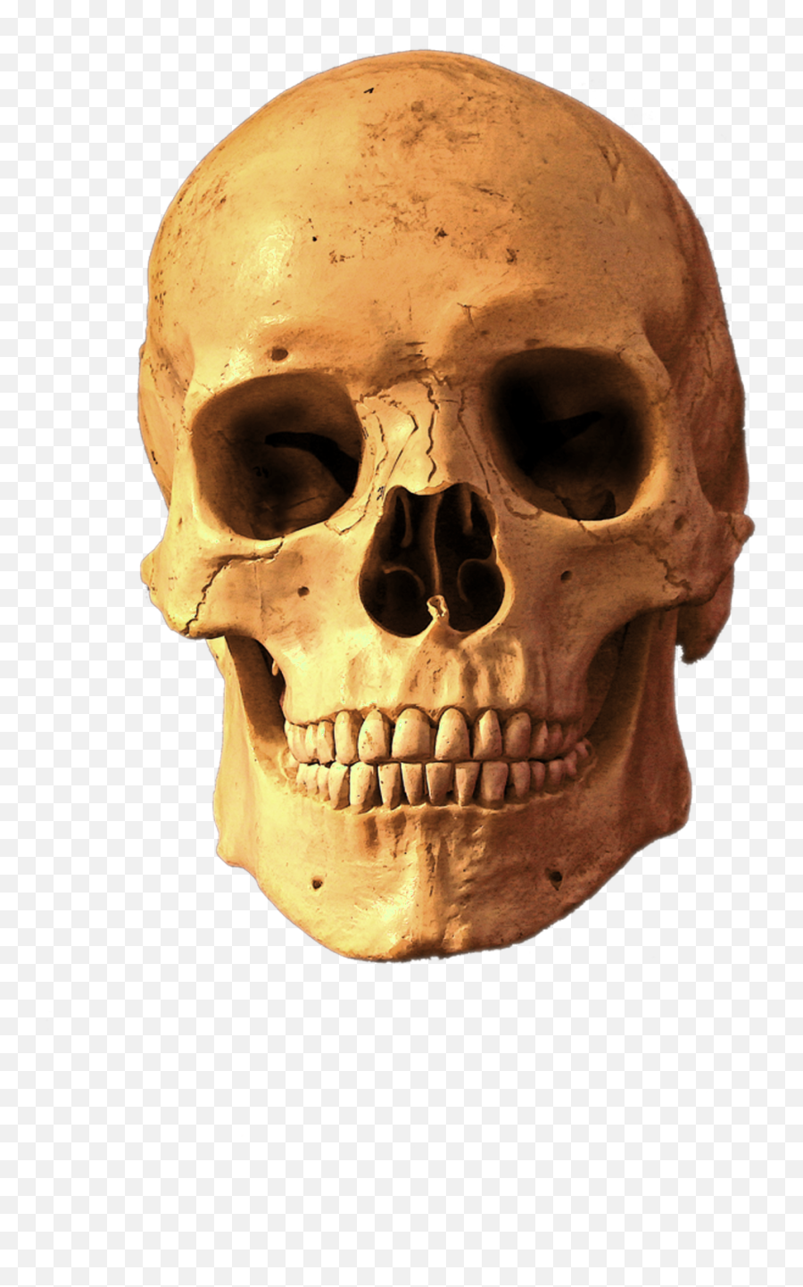Skull Transparent Background Png Image - Solid Emoji,Skull Png