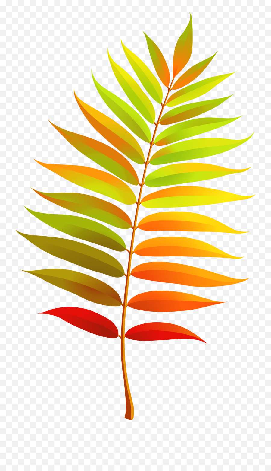 Download Hd Colorful Transparent Fall Leaf Clipart - Fall Leaf Clipart With Transparent Background Emoji,Fall Leaves Clipart