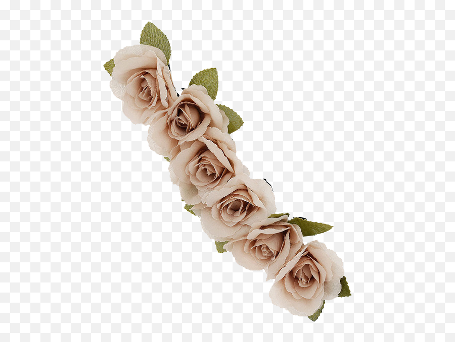 Download Hd Flower Crown Png And Transparent Image - Beige Beige Flower Crown Png Emoji,Flower Png