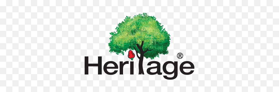 Sunkist U2013 Heritage Snacks U0026 Food Co Ltd - Heritage Snacks Food Co Ltd Emoji,Sunkist Logo