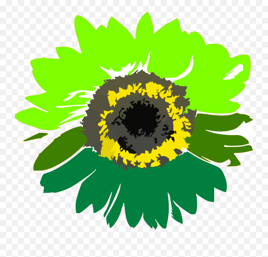 Green Sunflower Svg Vector Green Sunflower Clip Art - Svg Transparent Sunflower Graphic Emoji,Sunflower Clipart Png