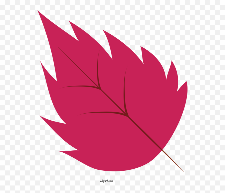 Nature Maple Leaf Leaf Symmetry For Leaf - Leaf Clipart Emoji,Maple Leaf Transparent Background