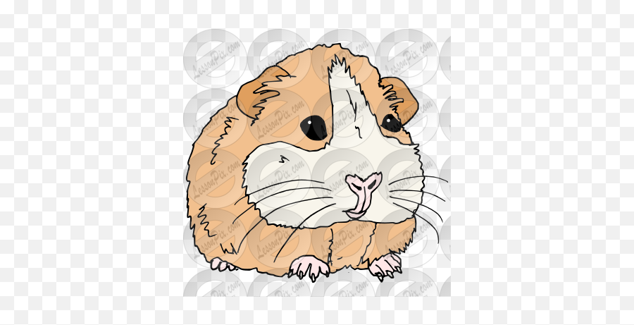 Guinea Pig Picture For Classroom Therapy Use - Great Emoji,Guinea Pig Png