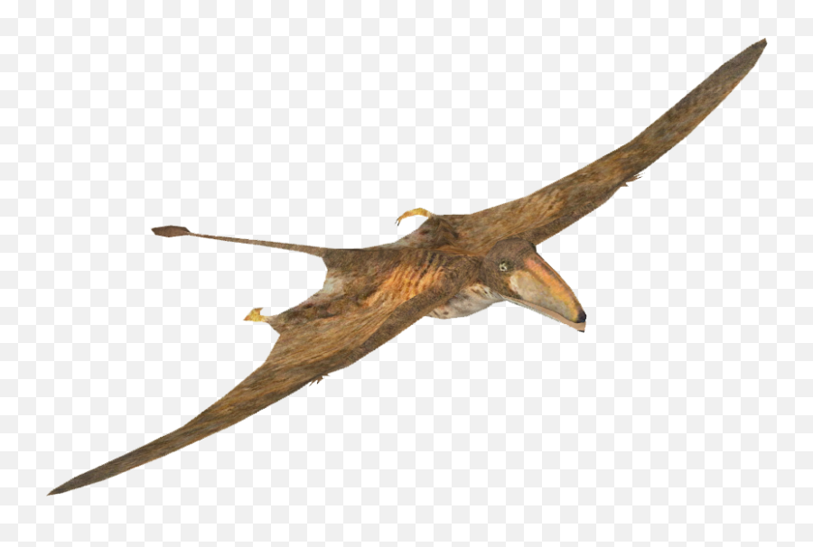 Pterosaurs Png Images Transparent Free - Transparent Background Pterodactyl Png Emoji,Pterodactyl Png