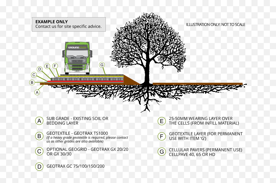 Tree Root Protection U2013 Example U2013 Groundtrax - Cellular Confinement System Emoji,Tree Roots Png