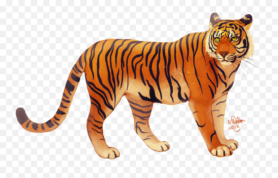 Bali Tiger Javan Tiger I Ching - Tiger Cartoon Png Emoji,Tiger Png