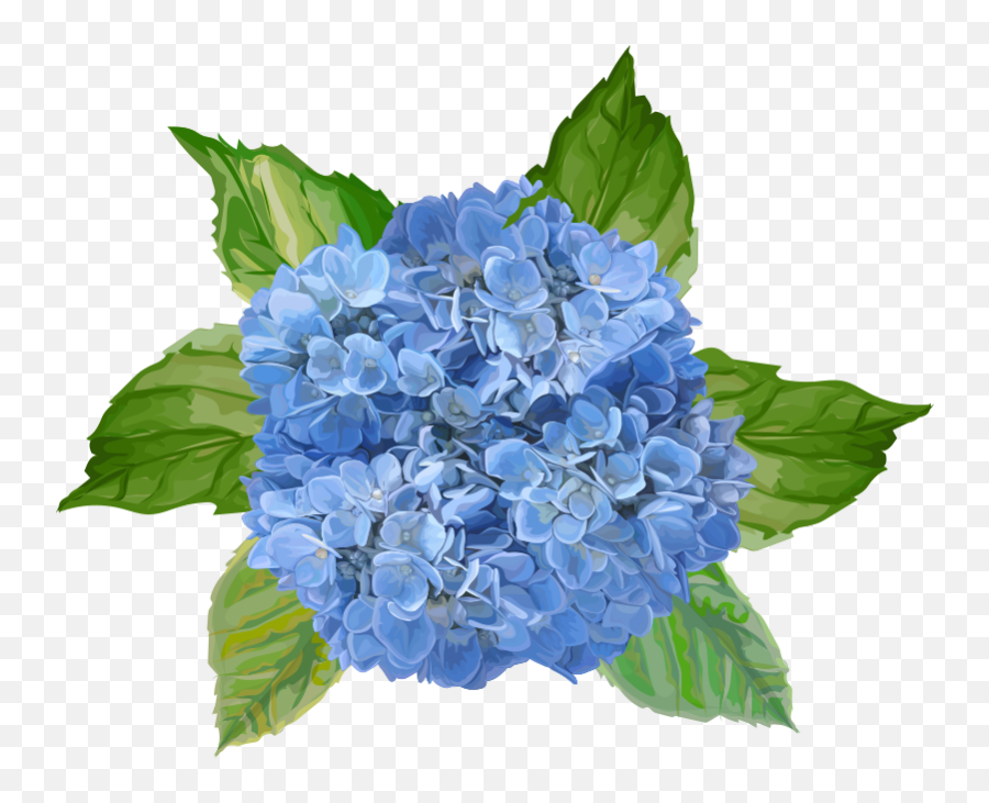 Blue Flowers Flower Wall Decal Emoji,Blue Flower Transparent