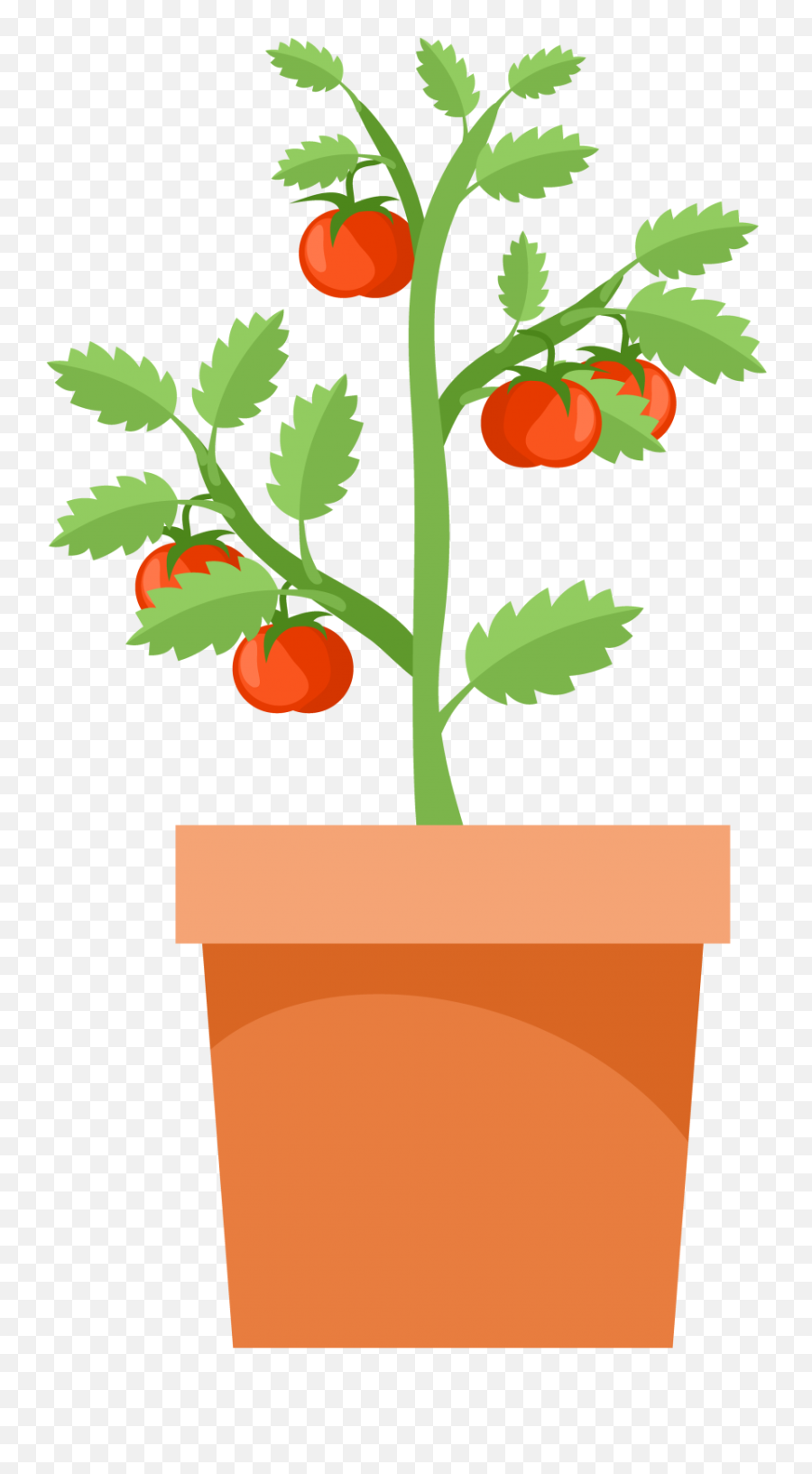 Tomato Plant Illustration Clipart Free Stock Photo - Public Emoji,Artwork Clipart