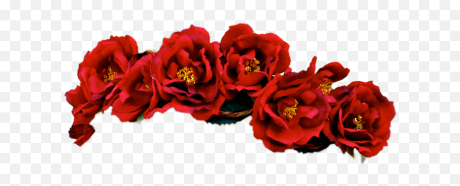 Flower Crown Png Background Image - Transparent Background Red Flower Crown Emoji,Flower Crown Png